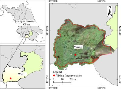 Characteristics of the litter dynamics in a Moso bamboo forest after strip clearcutting